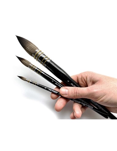 Da Vinci - Casaneo serie 498, pennello per...