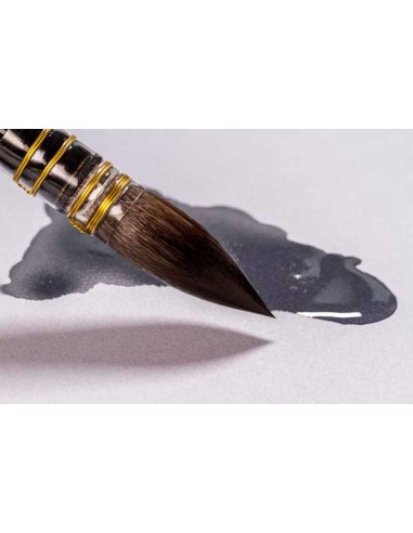 Da Vinci - Casaneo serie 498, pennello per...