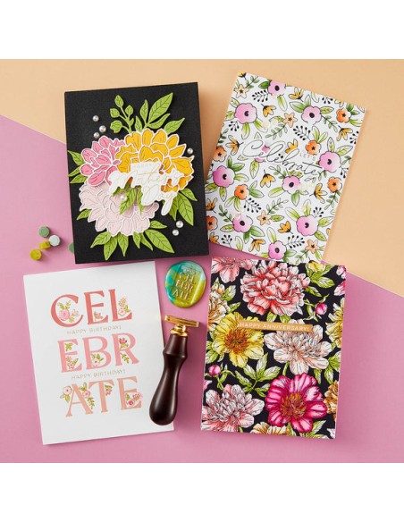 Let's Celebrate Sentiments Press Plate and Die Sets