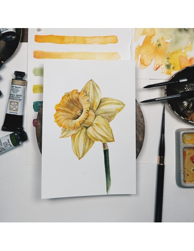 Corso online "Fiori di Narciso: un viaggio...