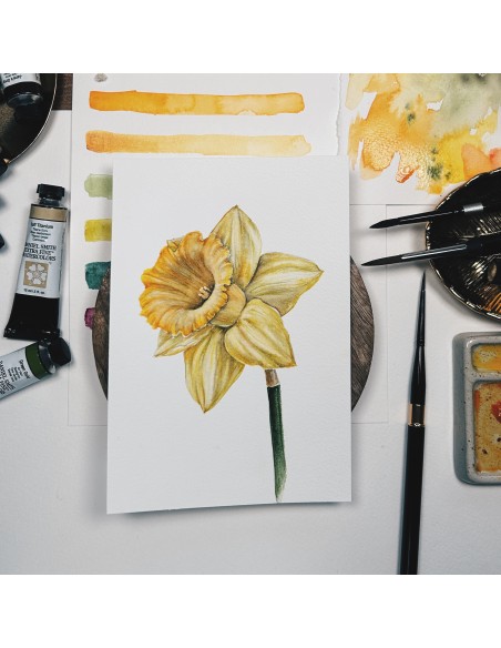 Corso online "Fiori di Narciso: un viaggio artistico con l’acquerello”