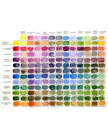 Confezione da 12 acquerelli Daniel Smith "Colors of Inspiration"