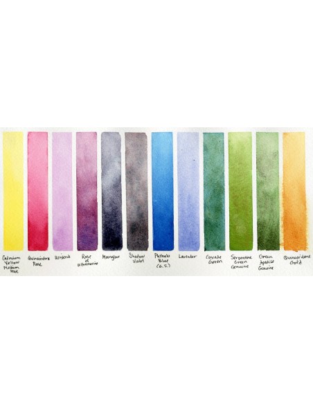 Confezione da 12 acquerelli Daniel Smith "Colors of Inspiration"