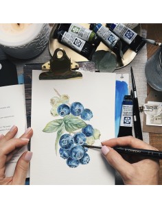 Magia in blu: mirtilli ad acquerello 14 Settembre