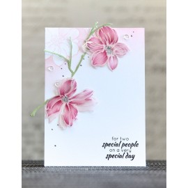 Wild Hibiscus Stamp Set 2