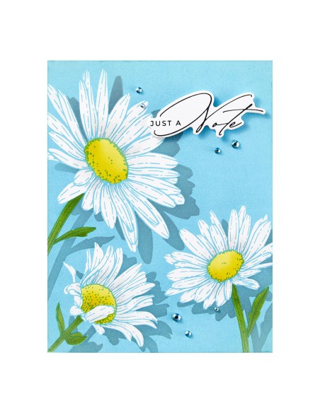Daisy Trio BetterPress Plates