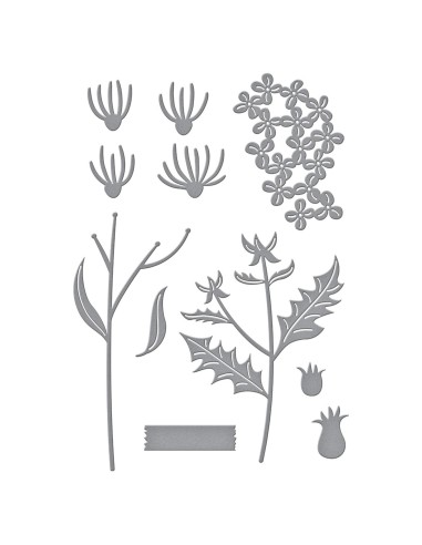 Field Notes Wildflowers Etched Dies