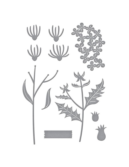 Field Notes Wildflowers Etched Dies