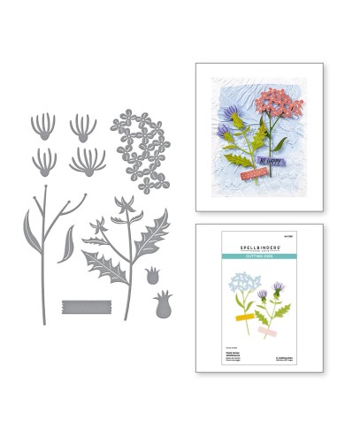 Field Notes Wildflowers Etched Dies