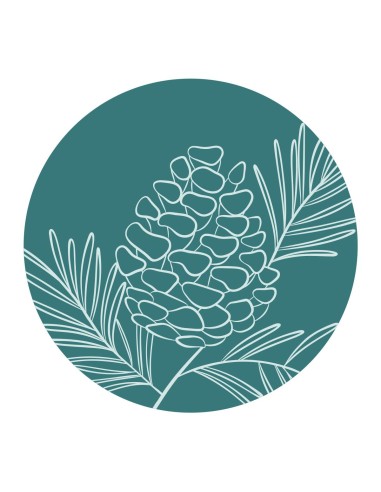 Wax seal stamp - Sigillo Pine cone spray