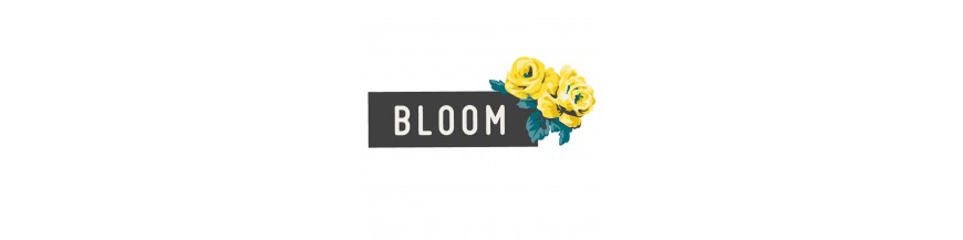 Bloom